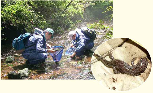 環境調査・エネルギー