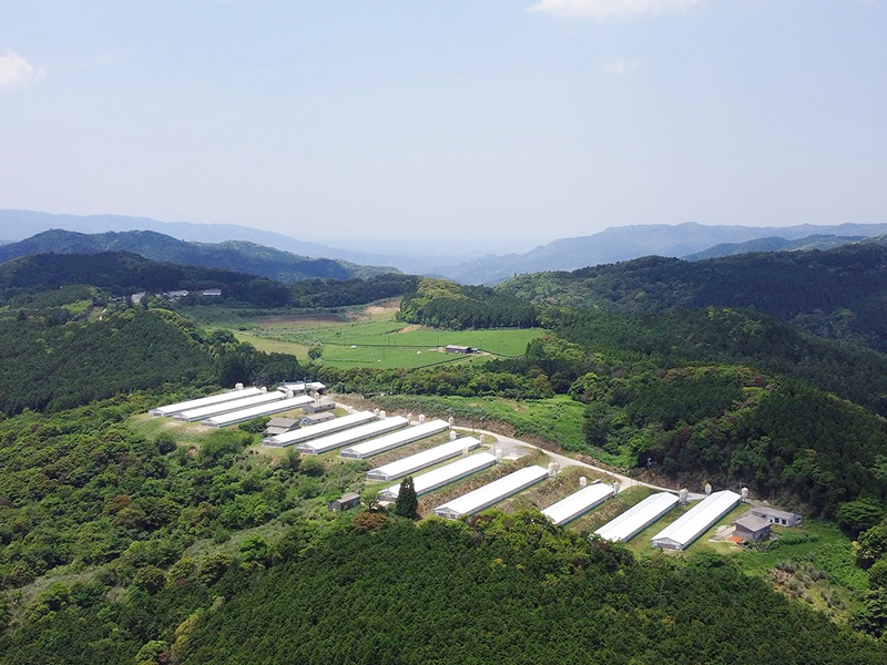 県内7農場を展開