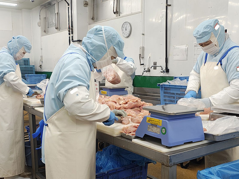 検品・カット作業の様子